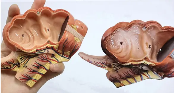 how to 3d scan an object