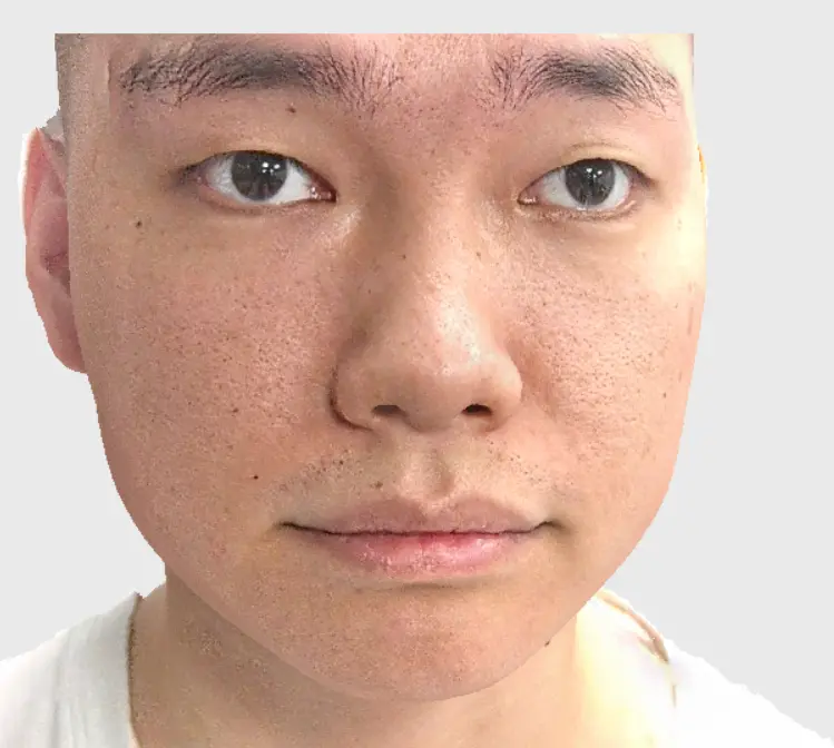 3d scanning model