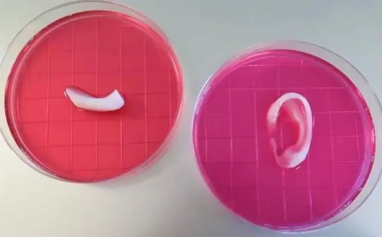 3d printing in medicine