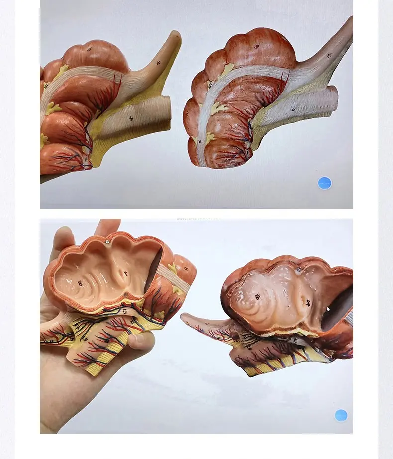 entry level 3d scanner